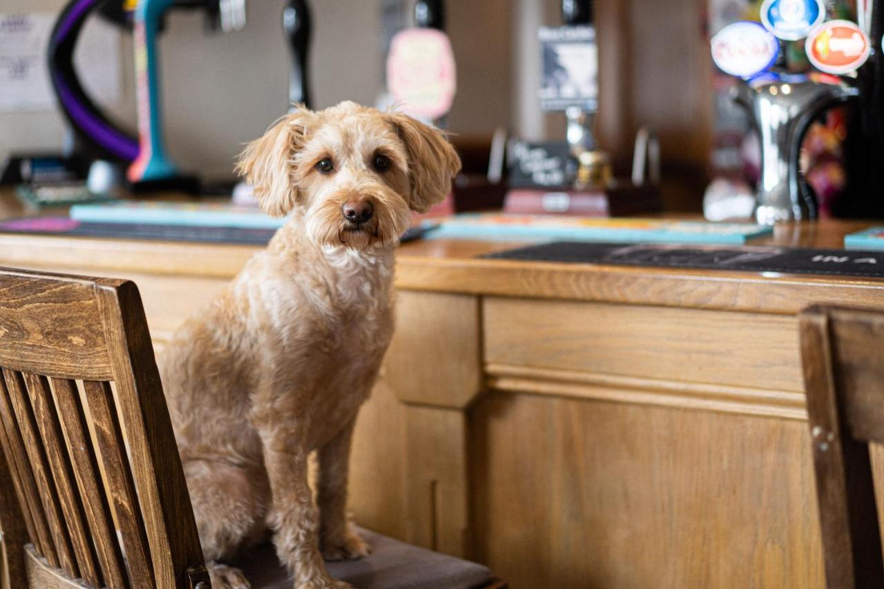 Bed and Breakfast Masons Arms Amble Esterno foto